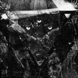 Law Of The Rope : The End of Mankind